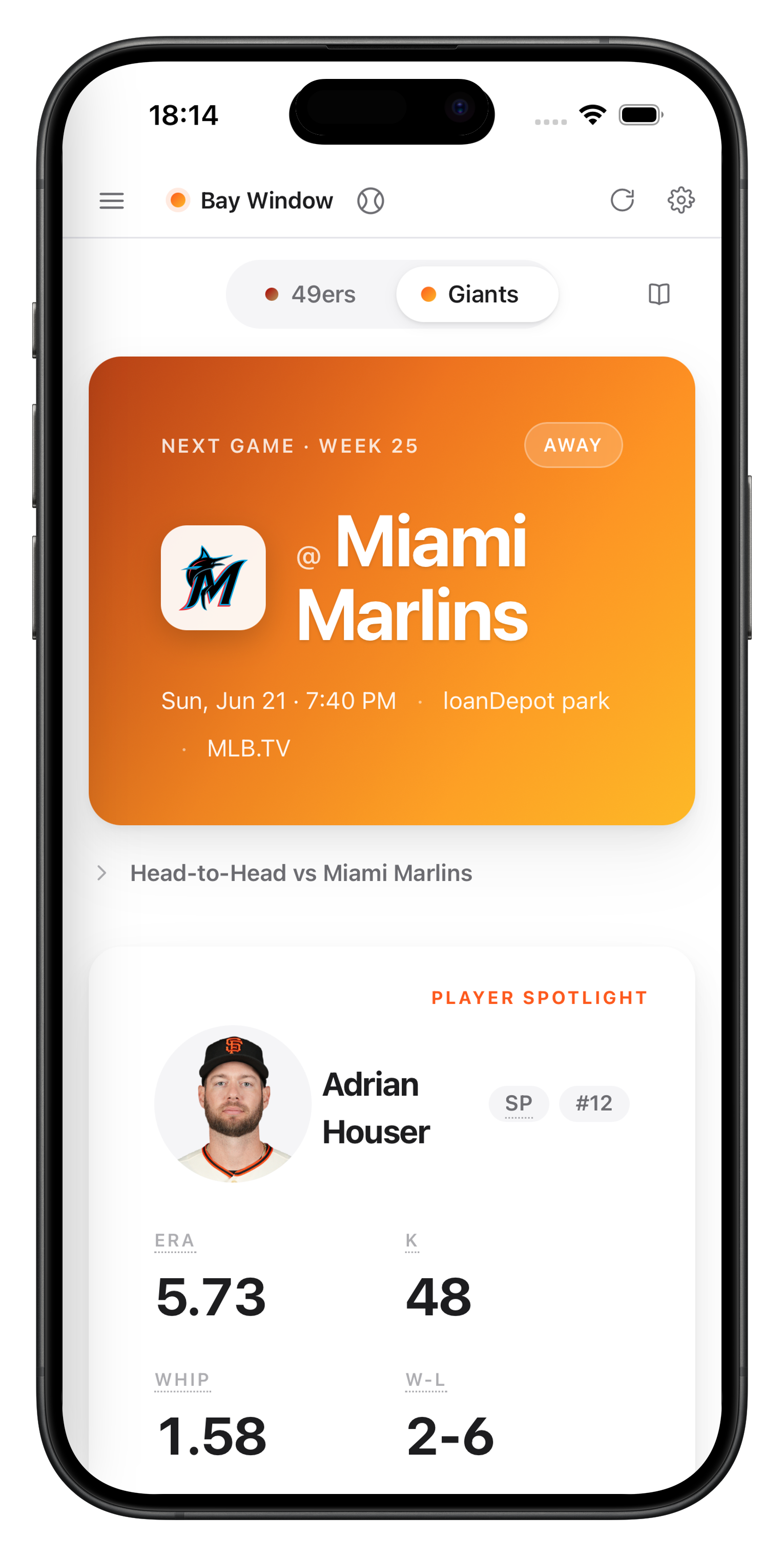 Sports Window Dashboard auf dem Smartphone